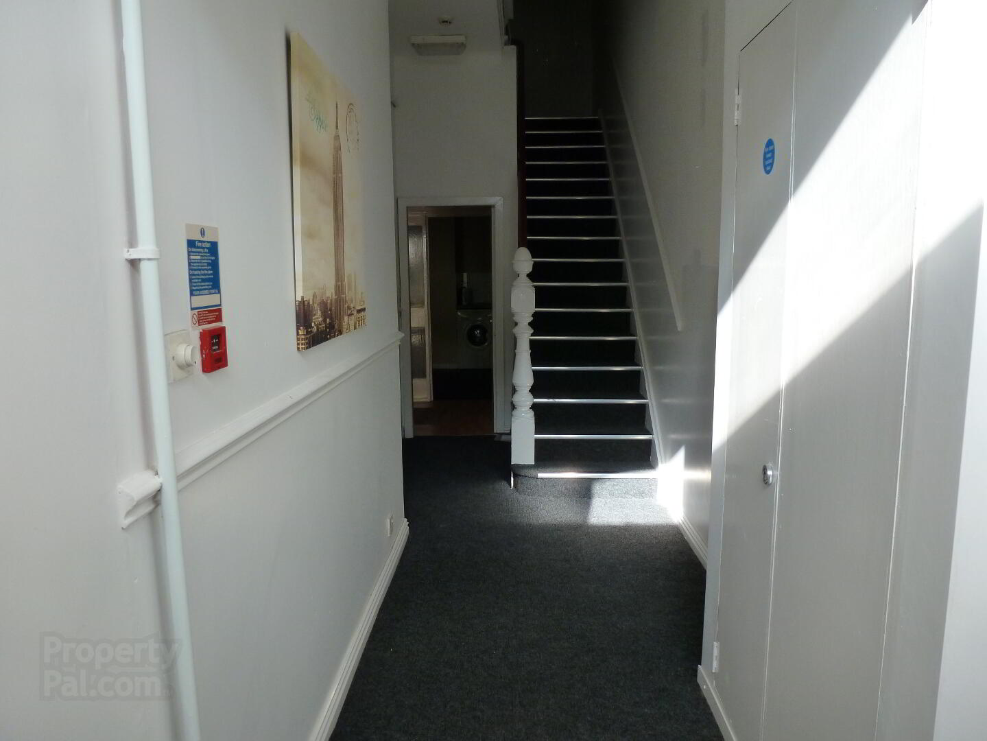 Apt 2, 116 Eglantine Avenue 9 of 9