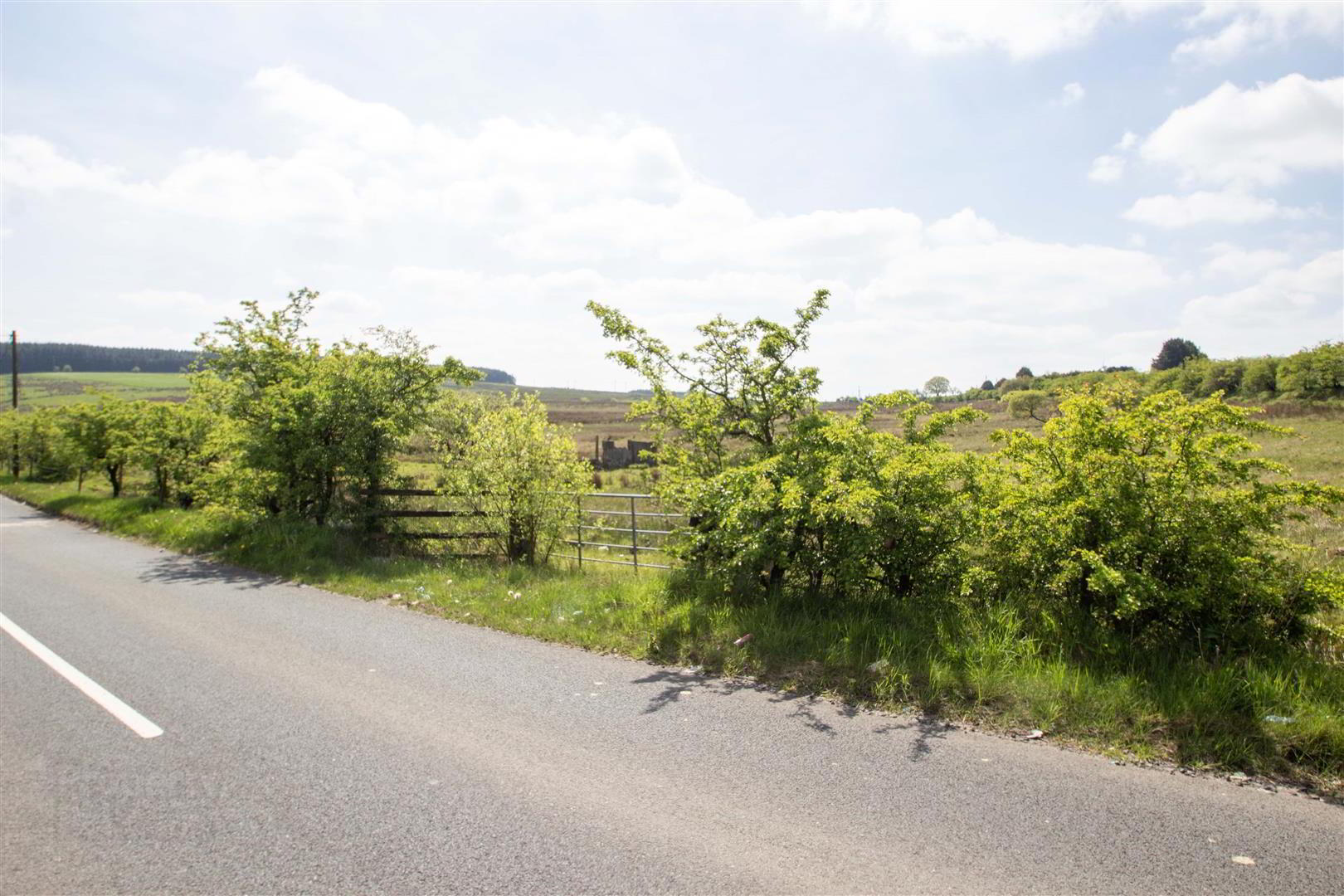 property description image