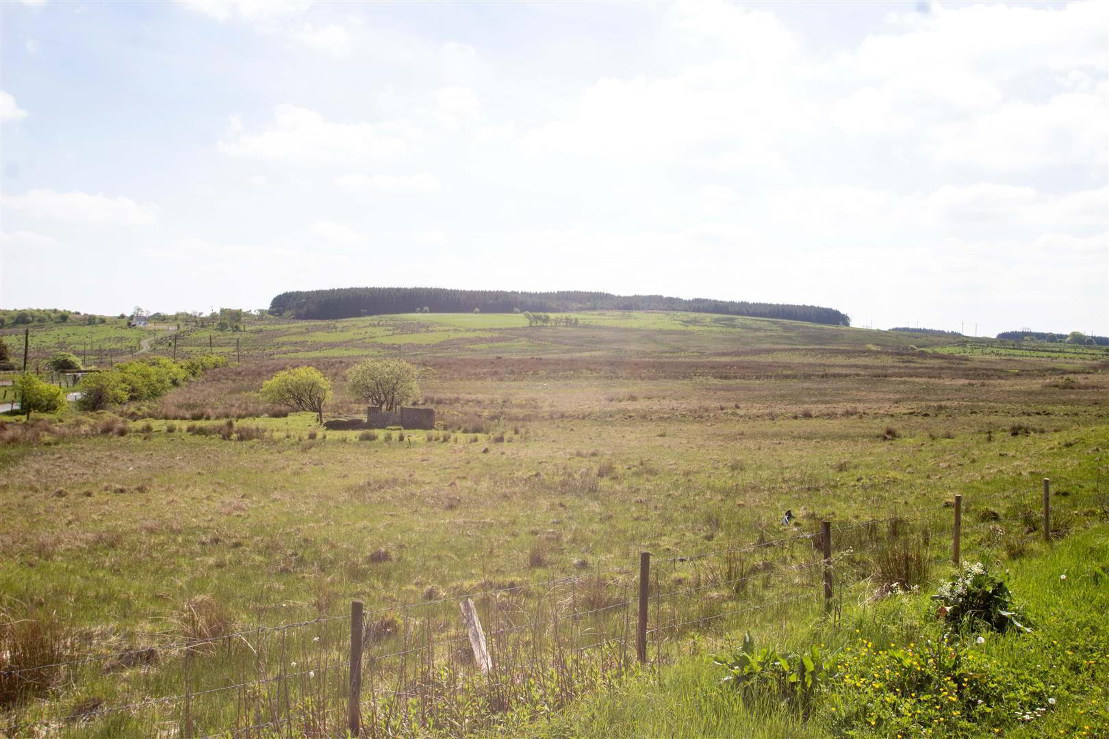 Land, @ Junction Of 6 of 8