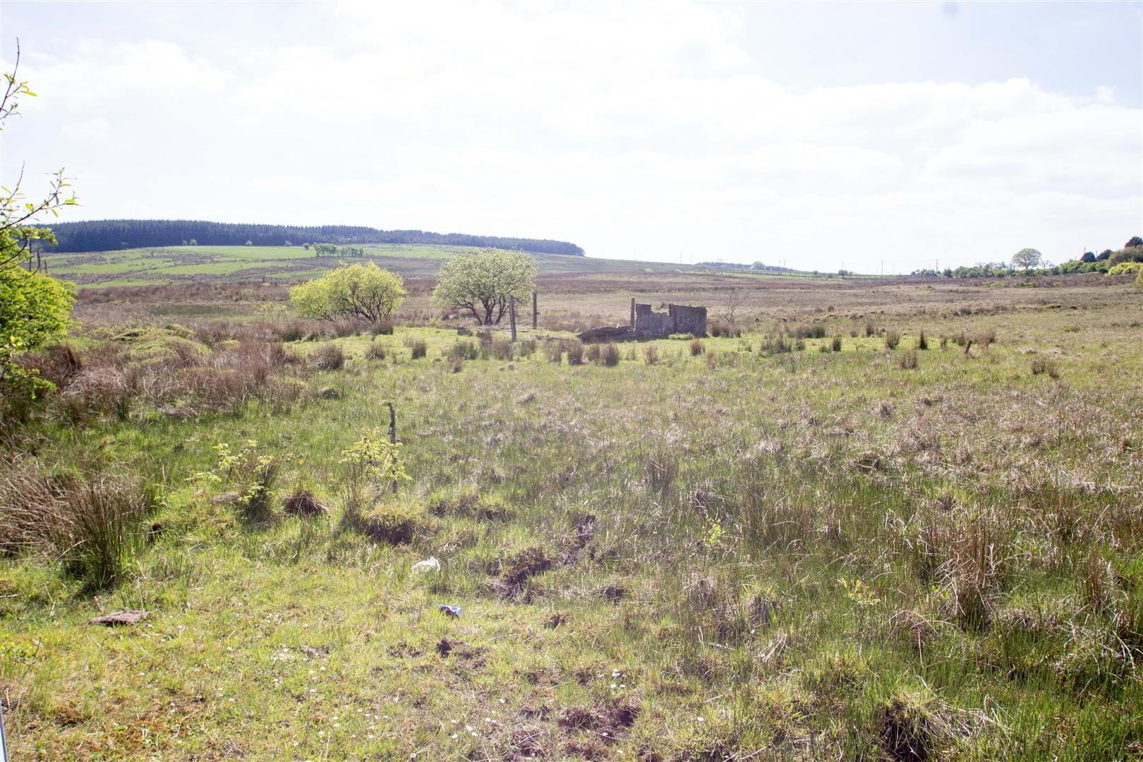 Land, @ Junction Of 4 of 8