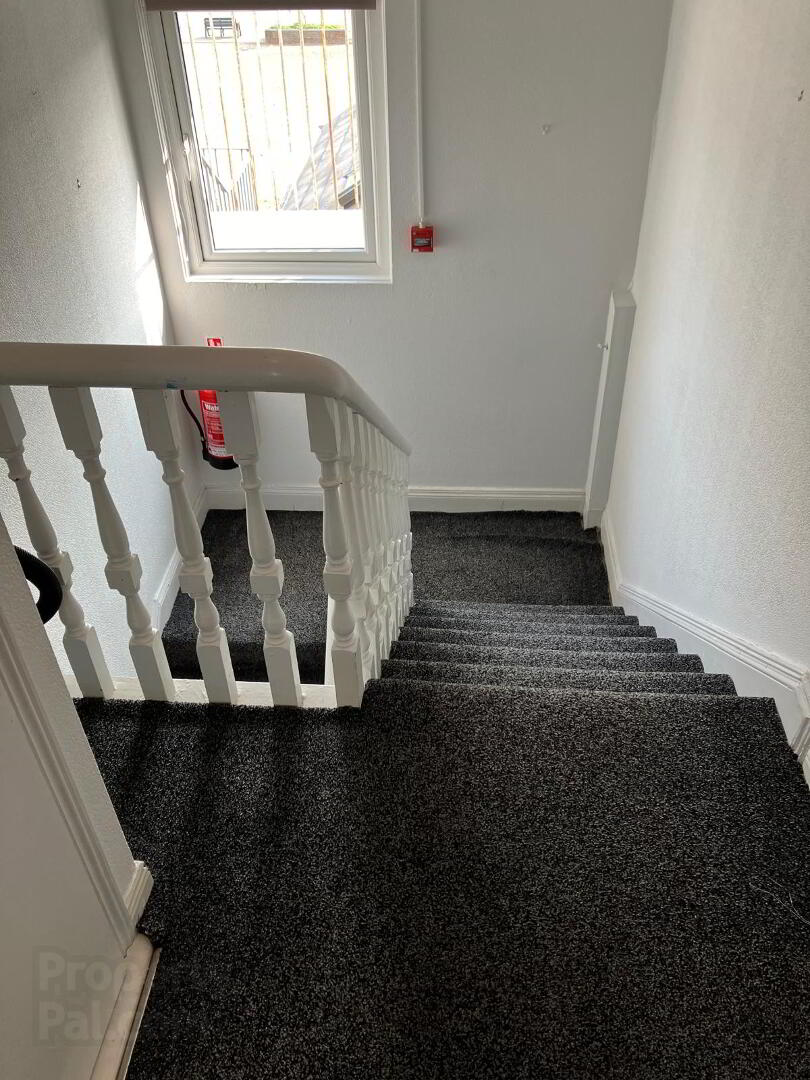 Unit 3, 76 Malone Avenue 4 of 6
