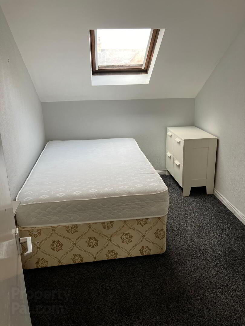 Unit 3, 76 Malone Avenue 6 of 6