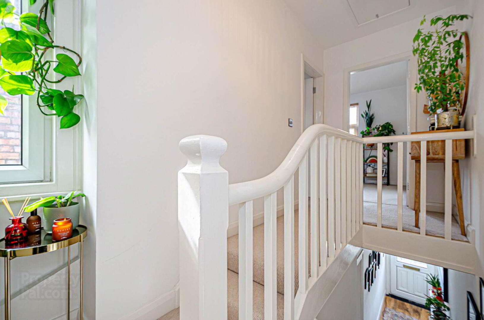 20 Clara Avenue 22 of 44