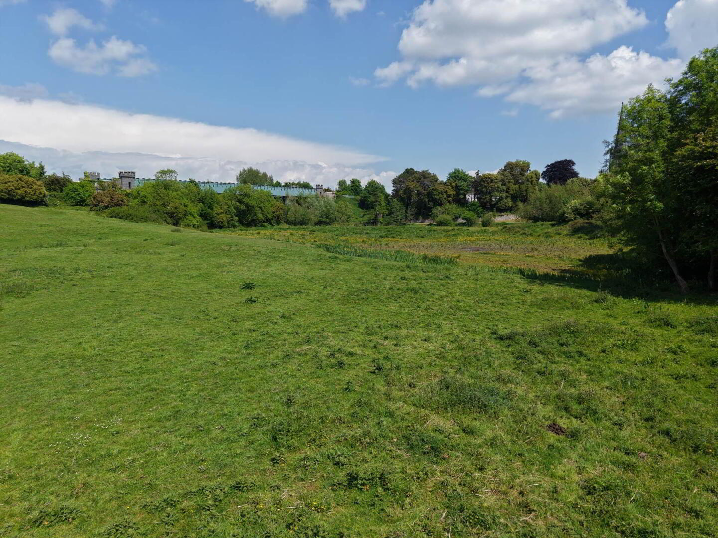 The Rock Field, Abbey St 7 of 11