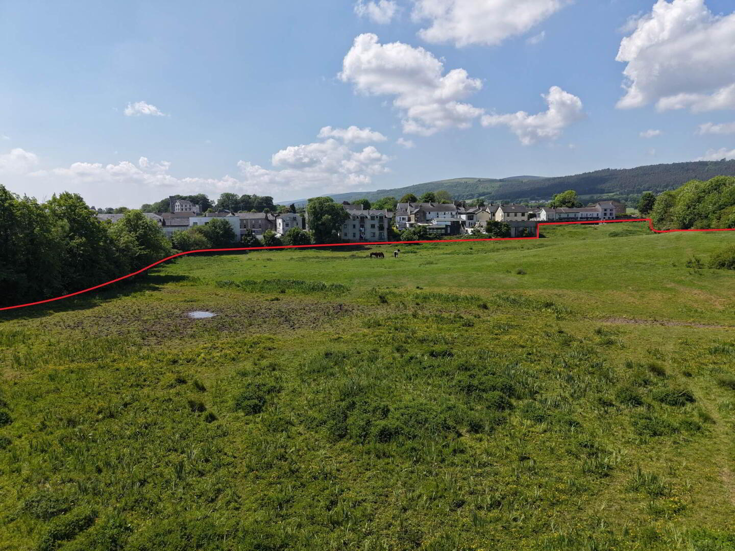 The Rock Field, Abbey St 3 of 11