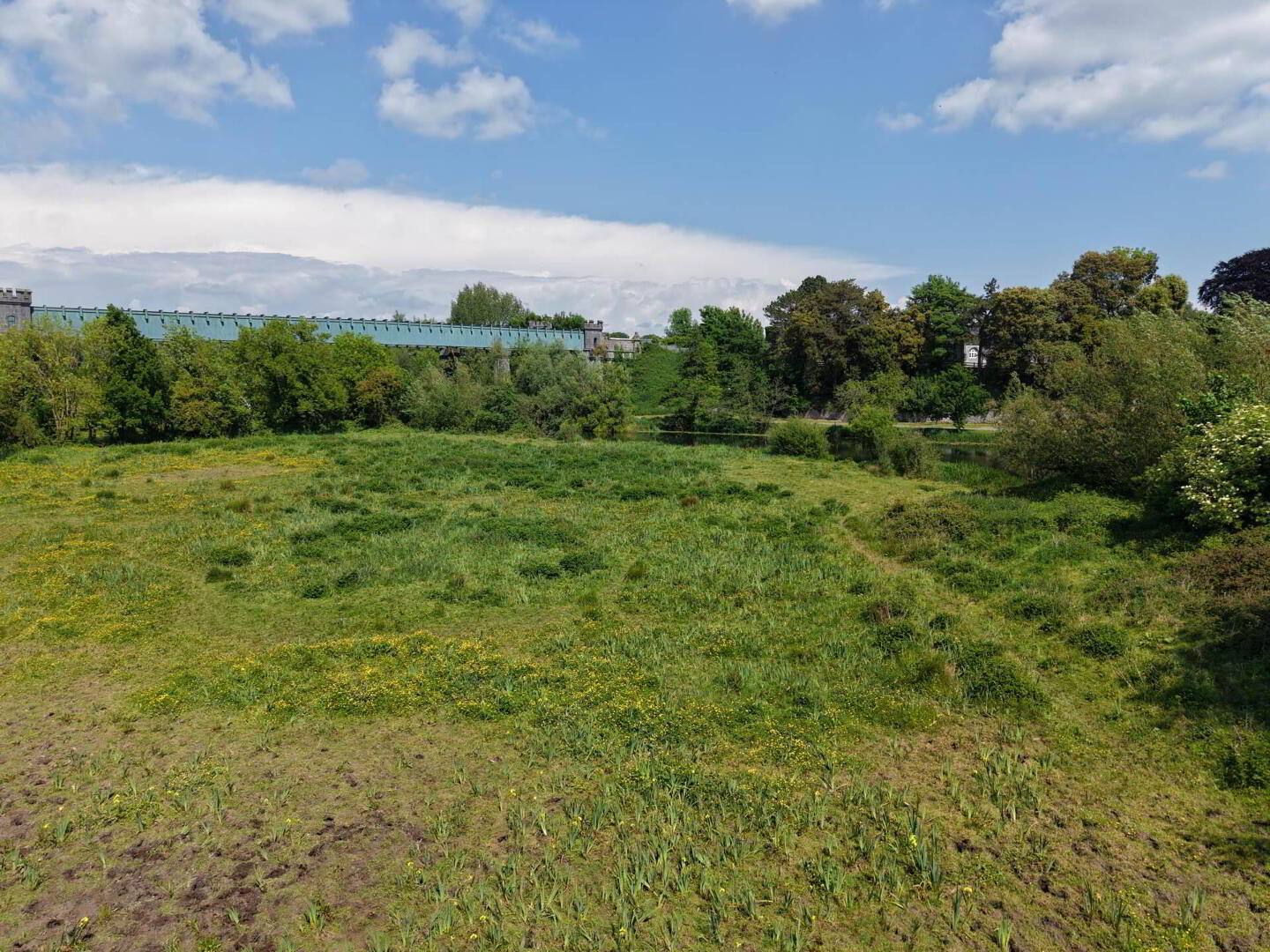 The Rock Field, Abbey St 6 of 11
