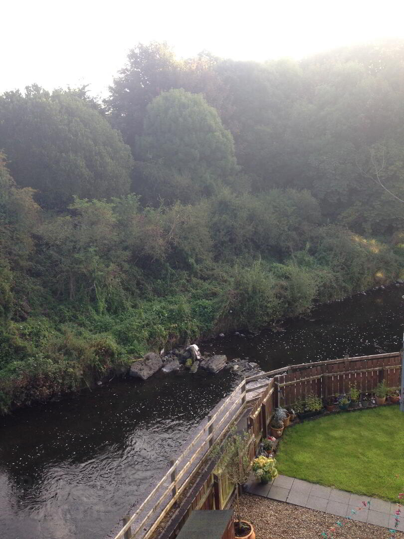 Alexandra Park 17 of 17