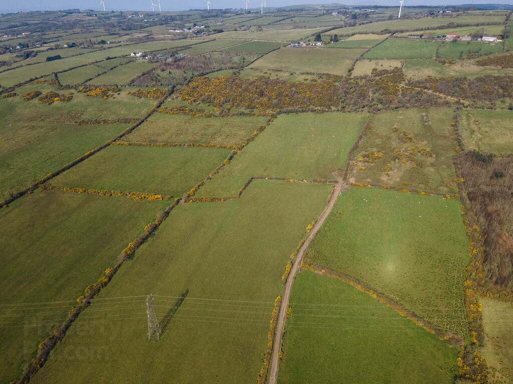Land & Outbuildings To The Rear Of Downview Farm, 104 Old Carrick Road 6 of 12