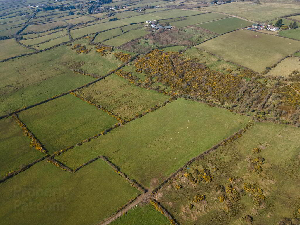 Land & Outbuildings To The Rear Of Downview Farm, 104 Old Carrick Road 7 of 12
