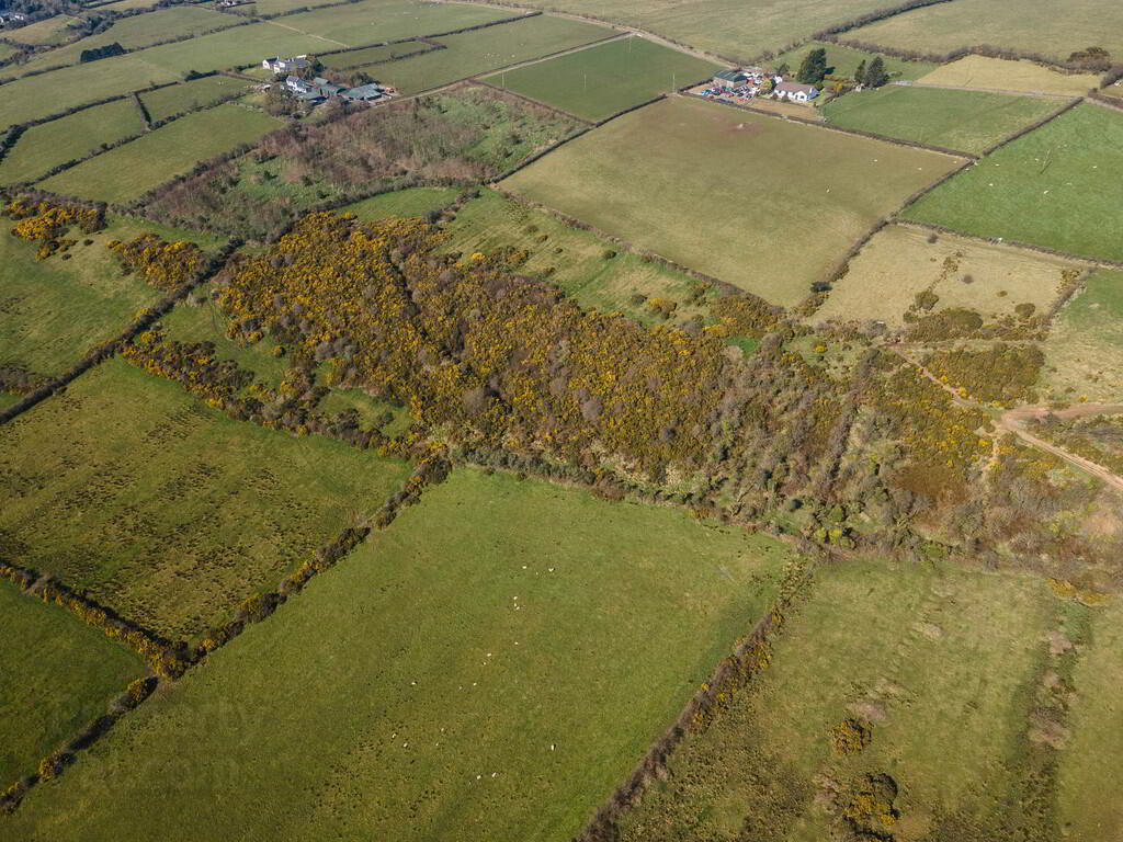 Land & Outbuildings To The Rear Of Downview Farm, 104 Old Carrick Road 8 of 12