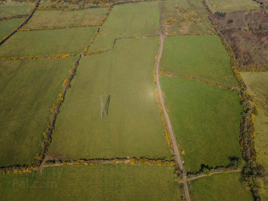 Land & Outbuildings To The Rear Of Downview Farm, 104 Old Carrick Road 5 of 12