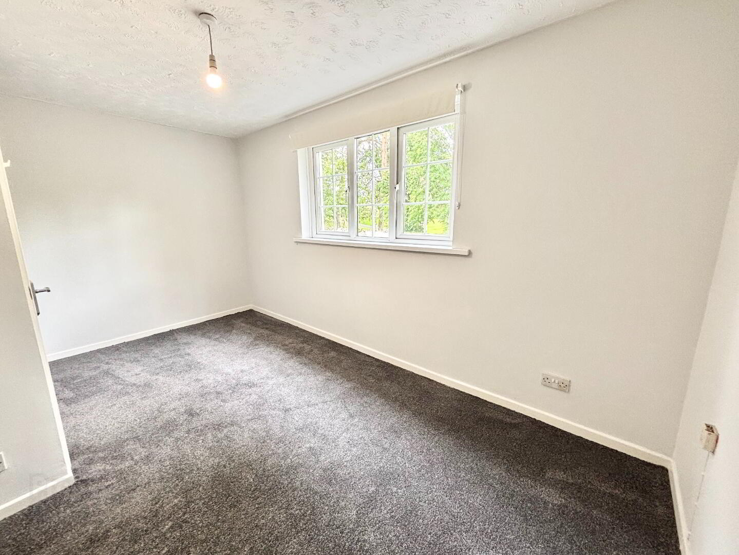 135 Ballymoney Road 8 of 13