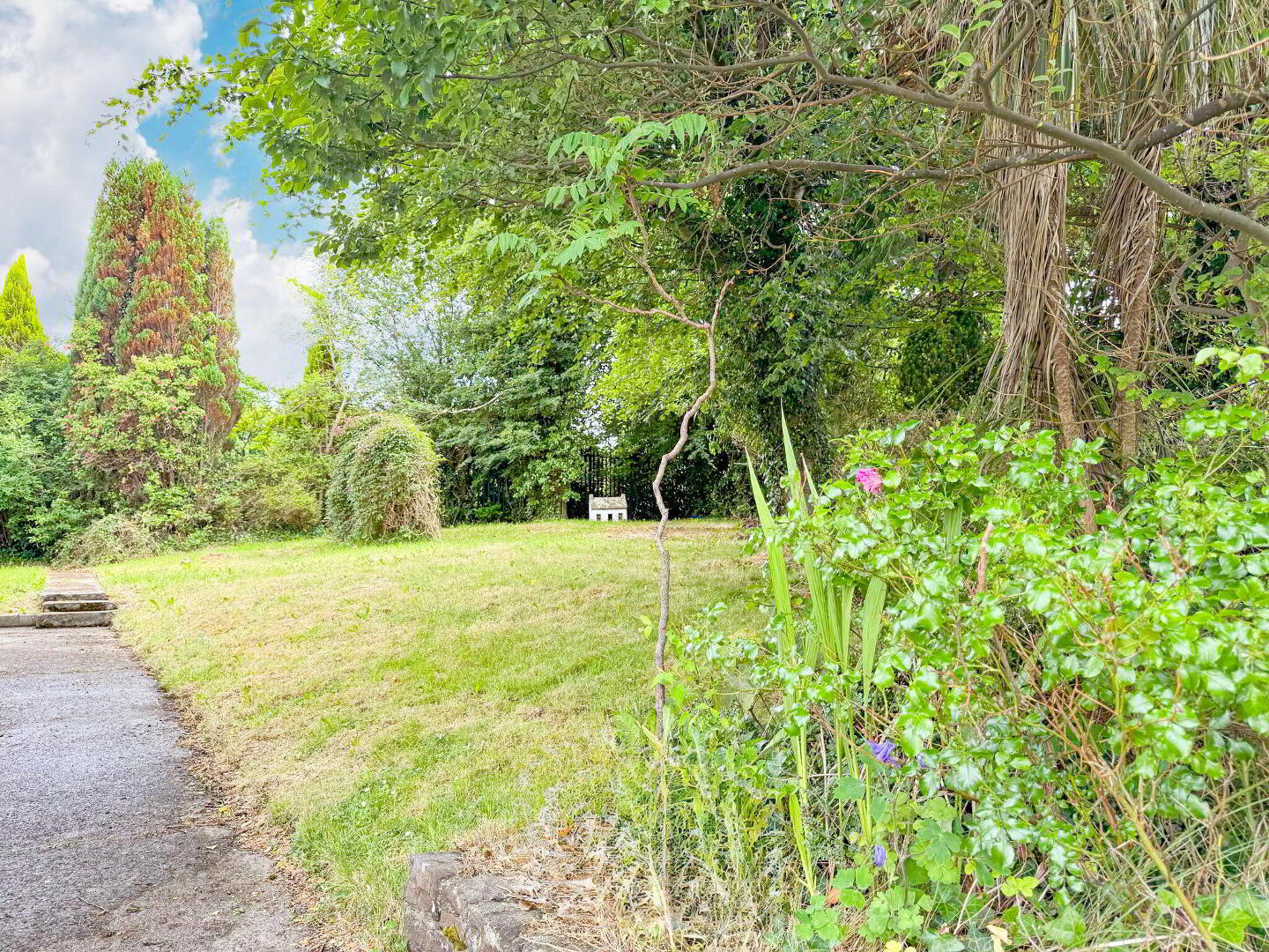 31 Thornhill 18 of 18