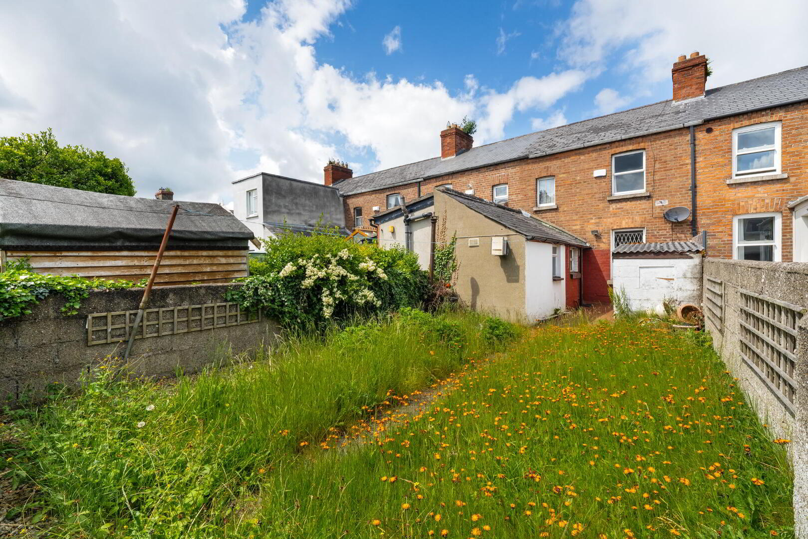 11 St Malachys Road 23 of 24
