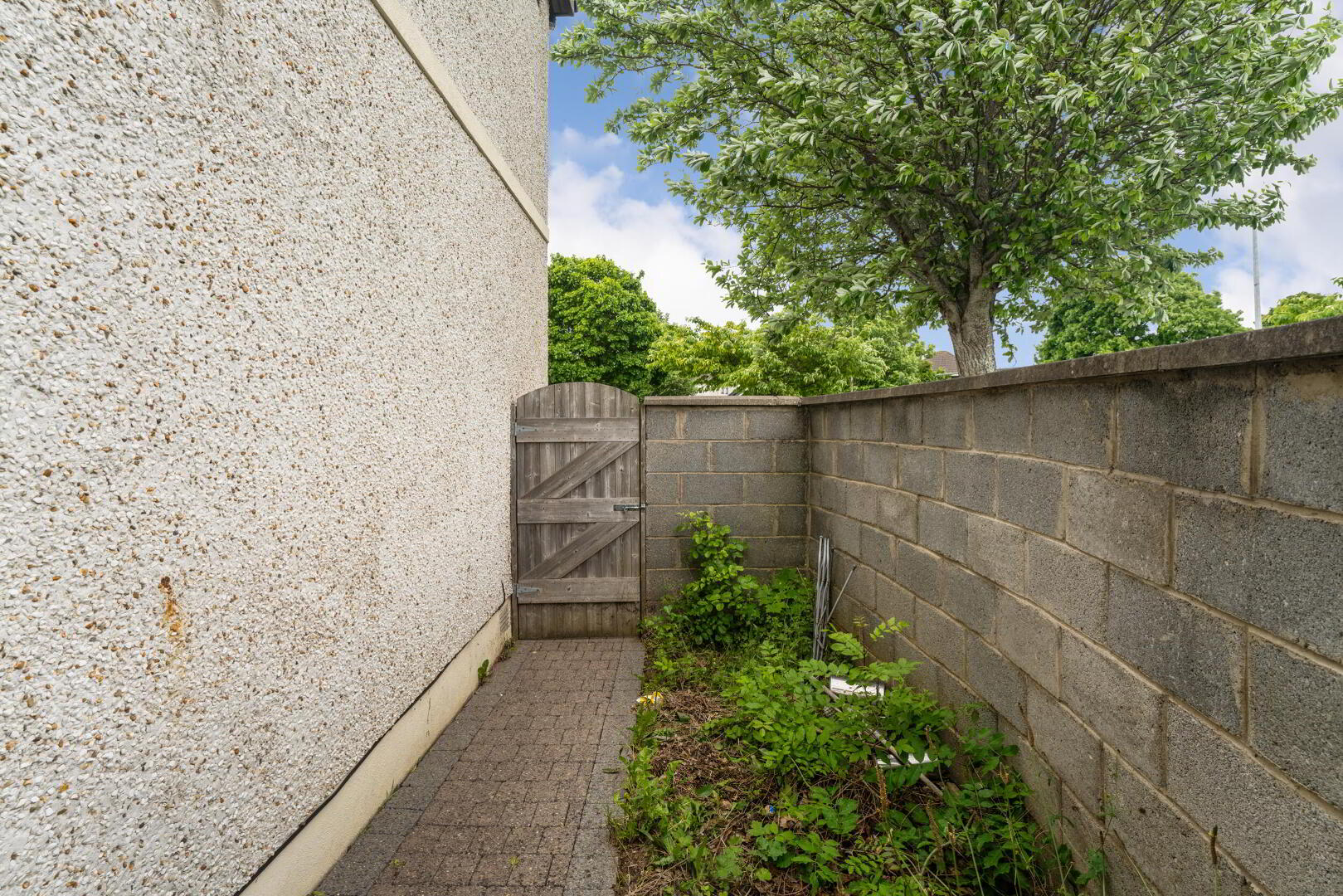 15a Willington Park 23 of 23