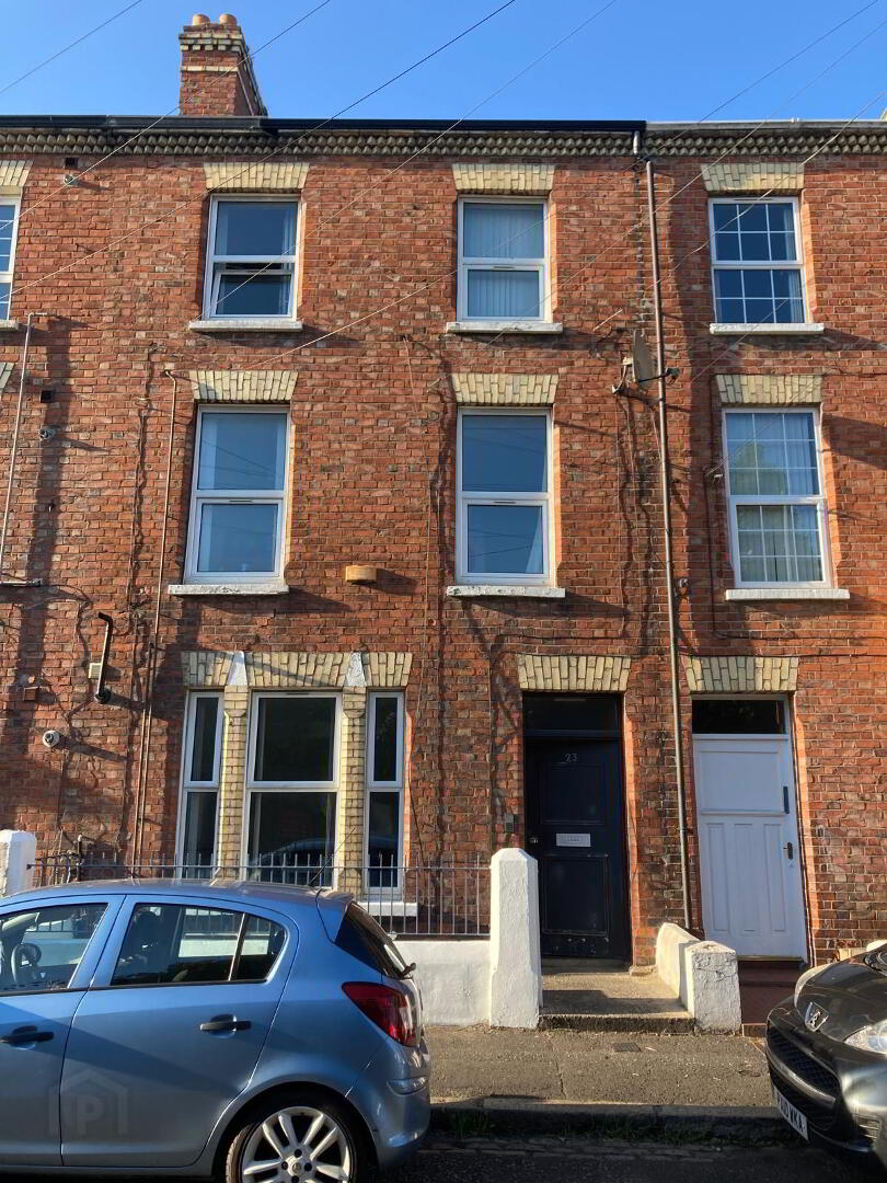 Unit 1, 23 Dunluce Avenue 15 of 15