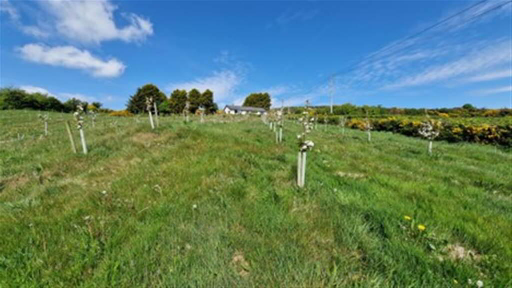 Adj, To78a Ballyculter Road 6 of 14