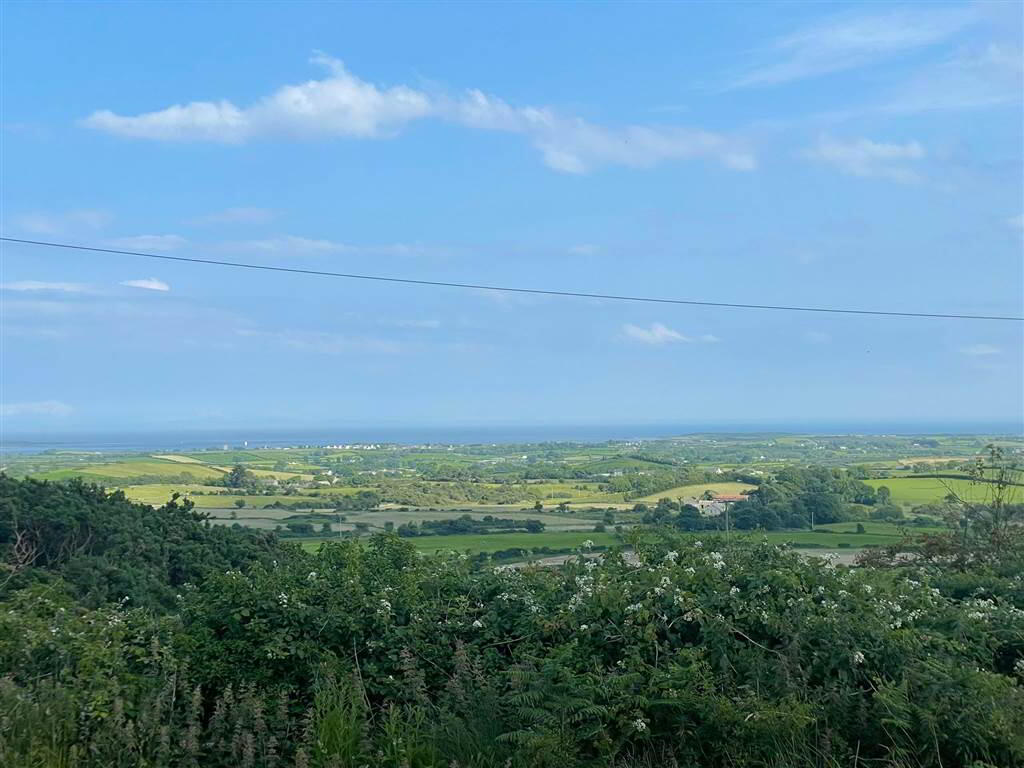 Adj, To78a Ballyculter Road 15 of 19
