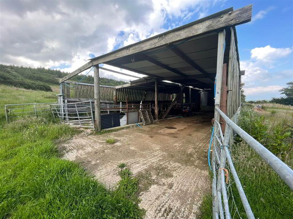 Adj, To78a Ballyculter Road 18 of 19