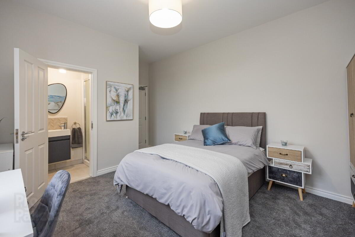 Apartment 4 24 Wellington Park 5 of 14