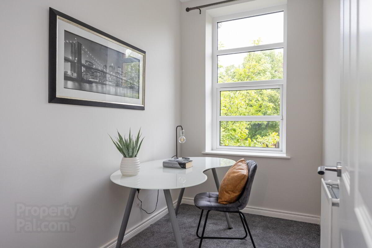 Apartment 4 24 Wellington Park 12 of 14