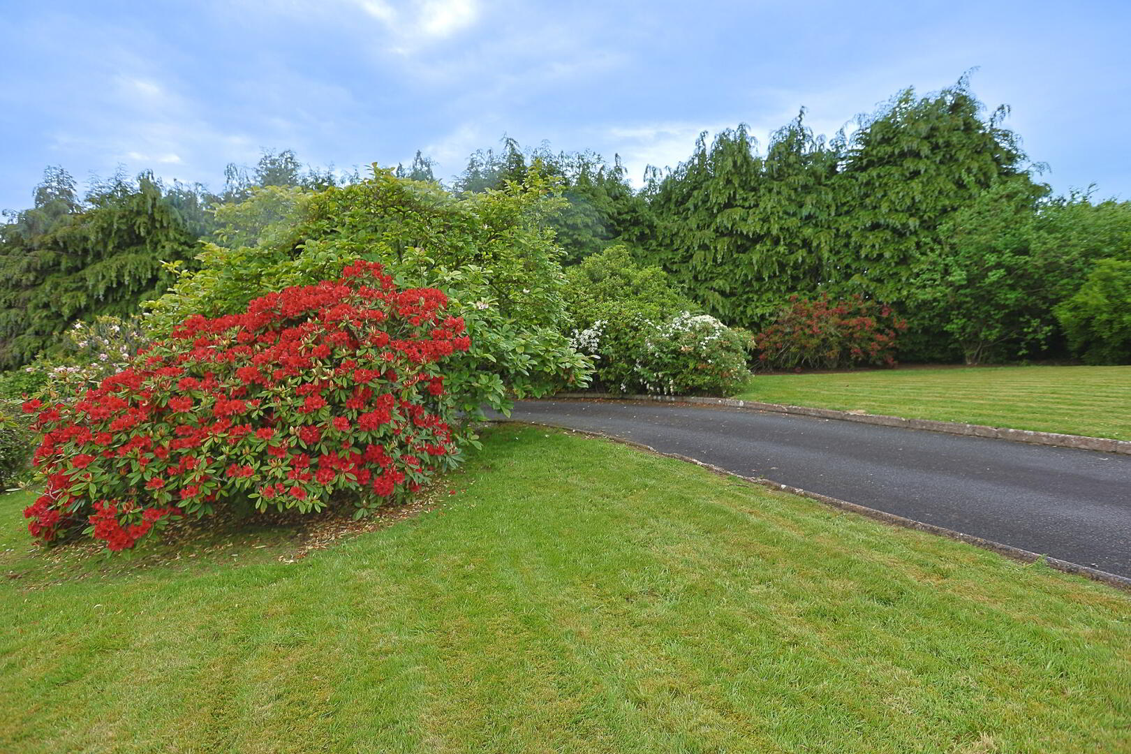 property description image