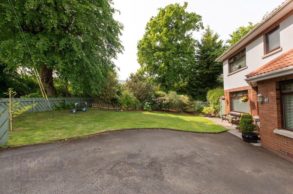 47 Dillons Avenue 31 of 34