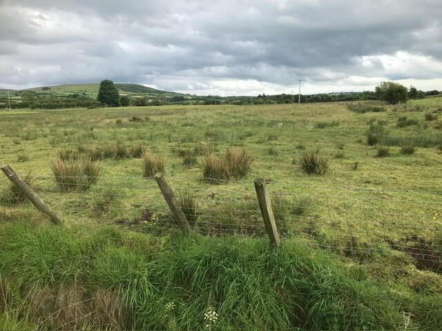 Carnamenagh, Corkey 1 of 2