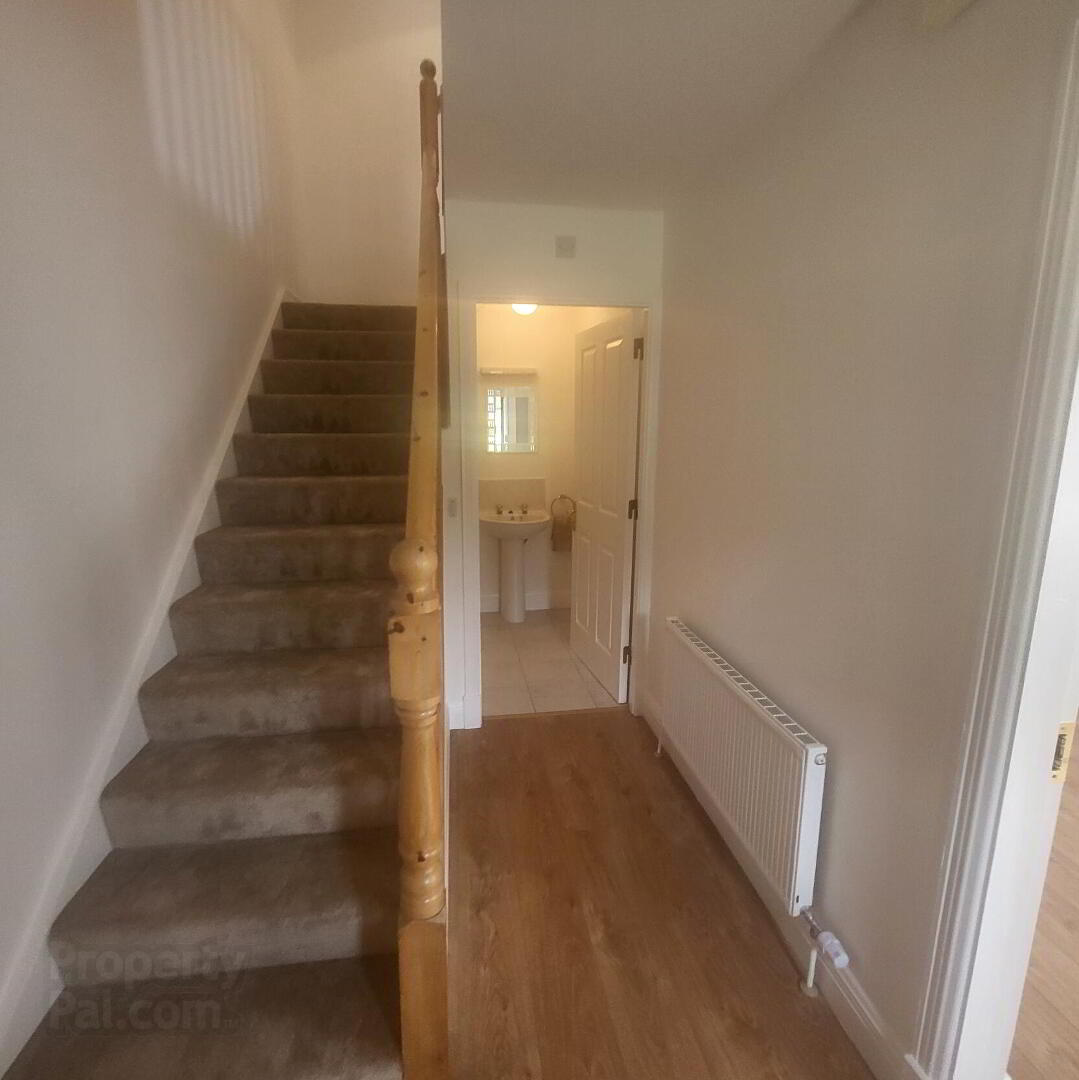 6 Clement Court. Lough Rynn 22 of 33