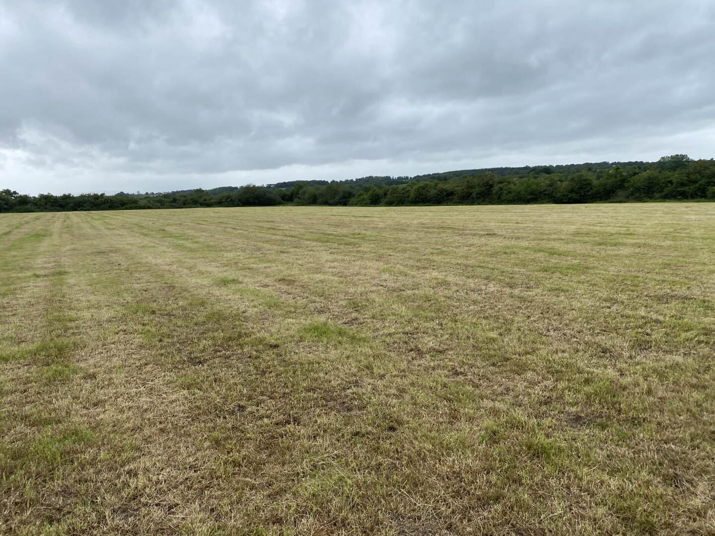 property description image