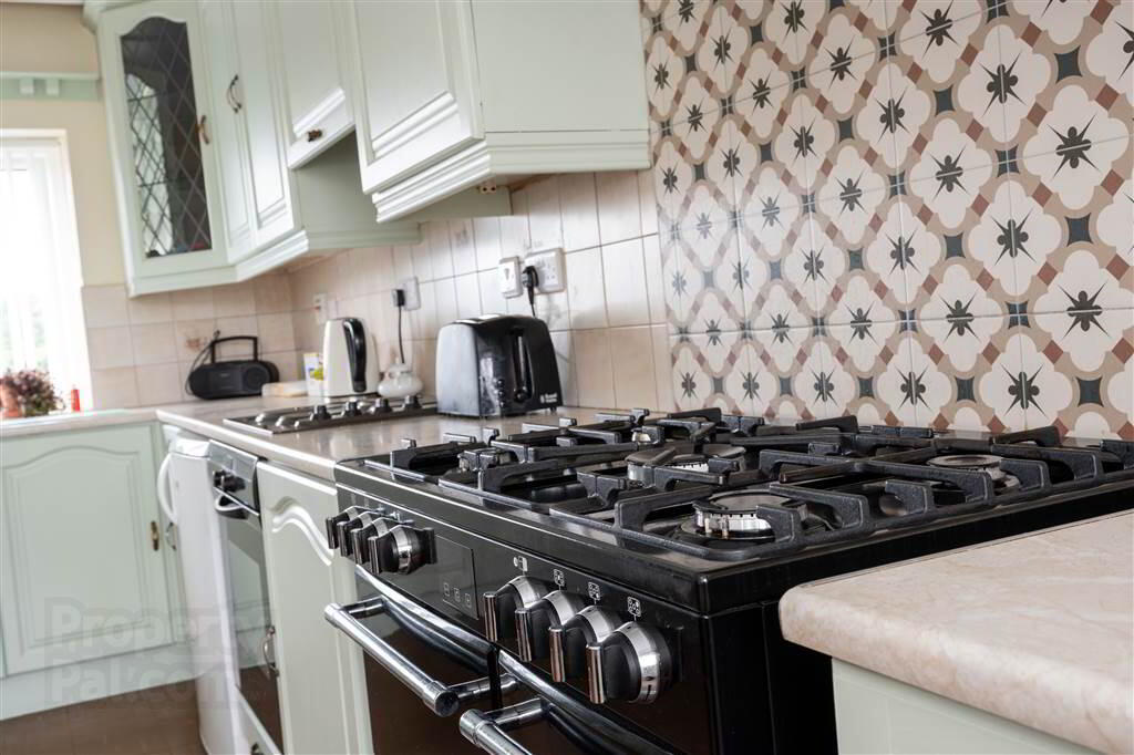18 Lislunnan Road 15 of 38