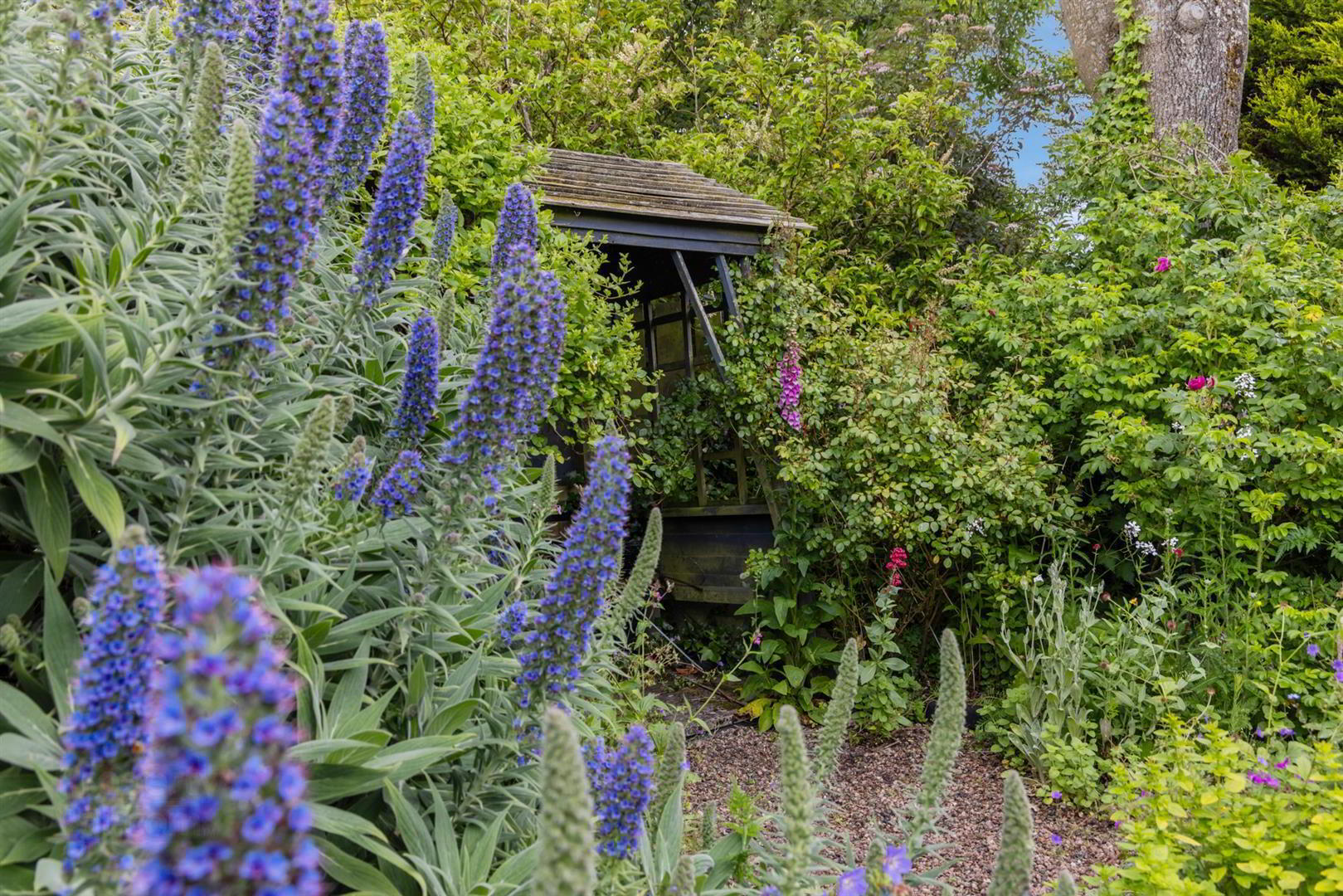 'Kilcoan Gardens', 240 Middle Road 80 of 84