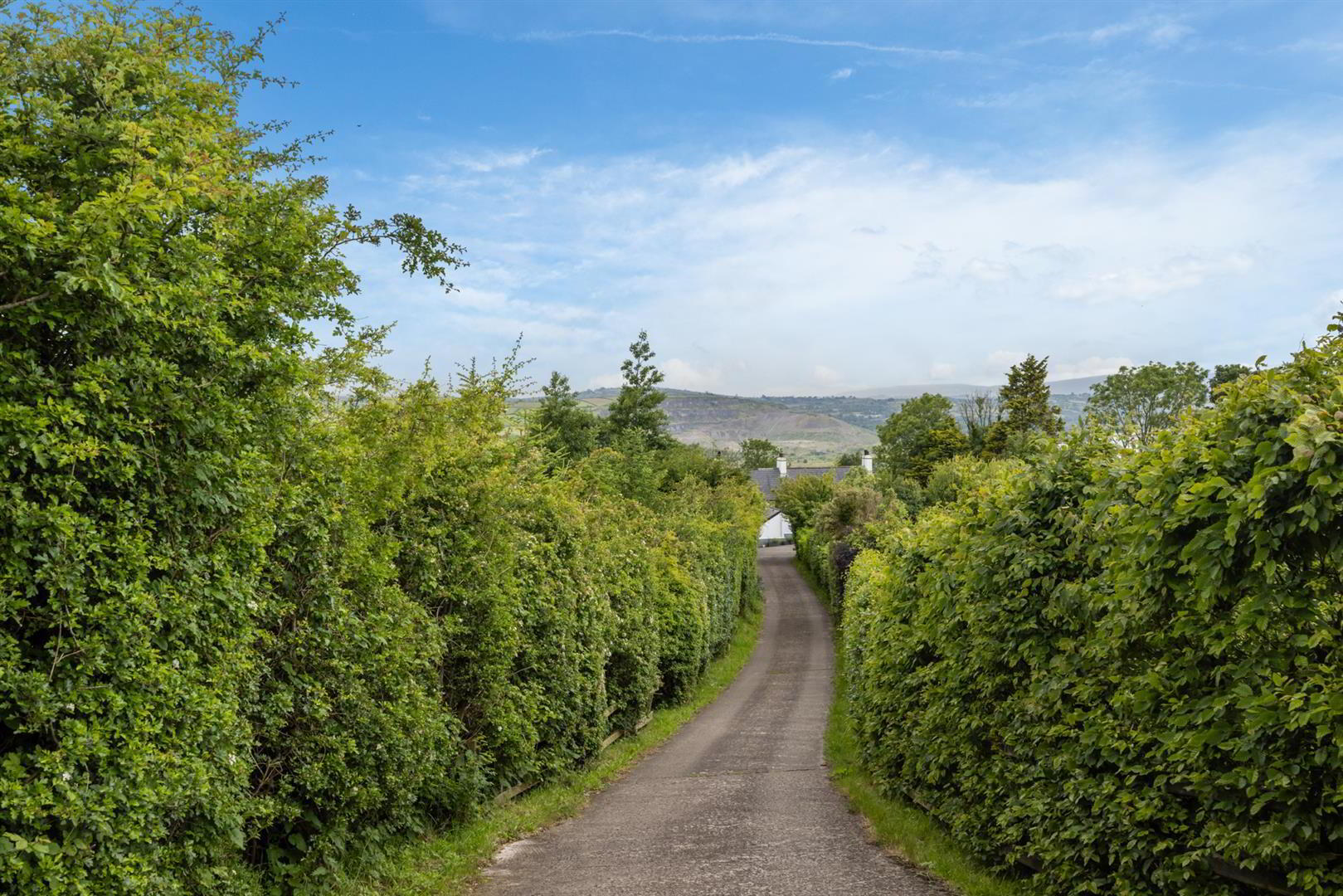 'Kilcoan Gardens', 240 Middle Road 35 of 84