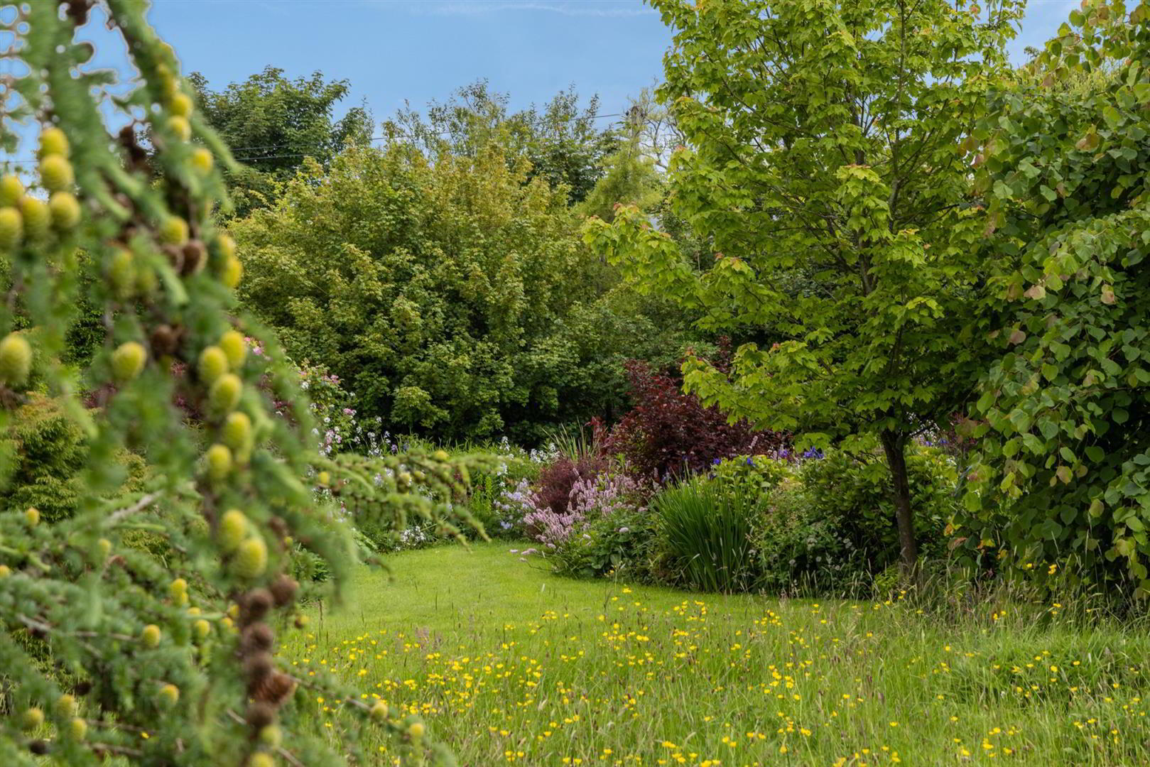 'Kilcoan Gardens', 240 Middle Road 47 of 84