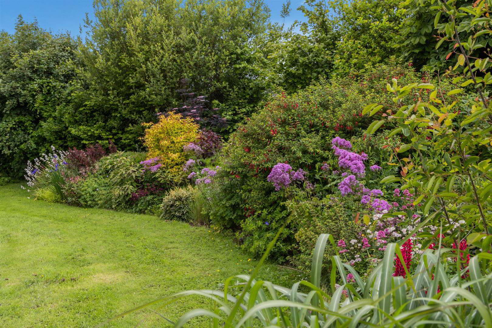 'Kilcoan Gardens', 240 Middle Road 48 of 84