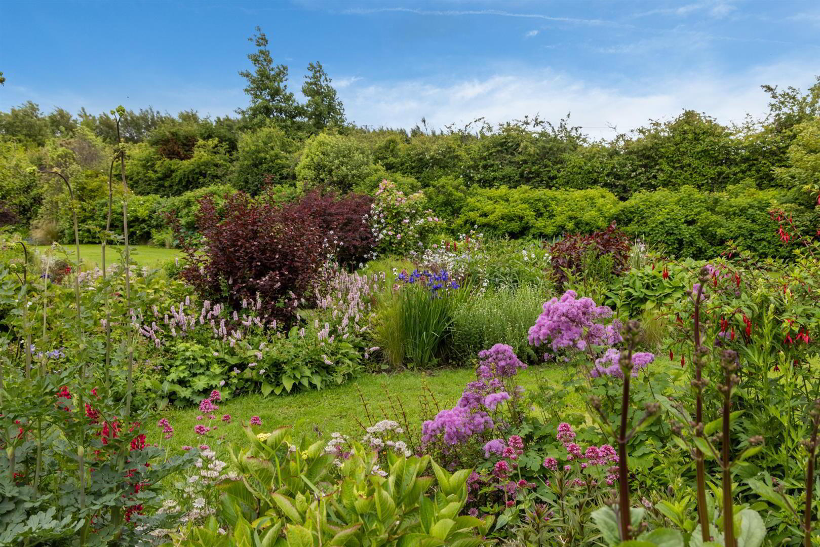 'Kilcoan Gardens', 240 Middle Road 49 of 84