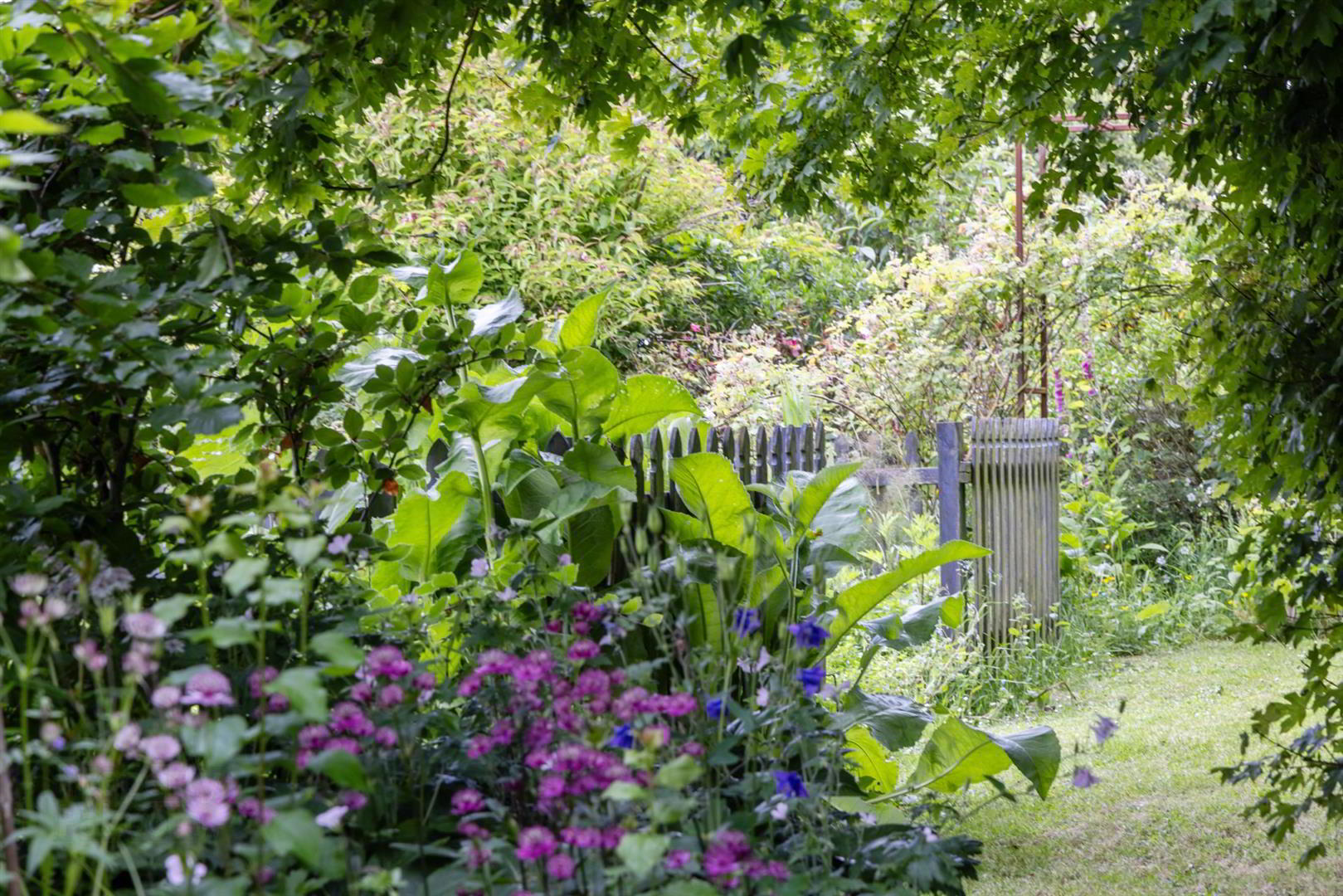 'Kilcoan Gardens', 240 Middle Road 51 of 84