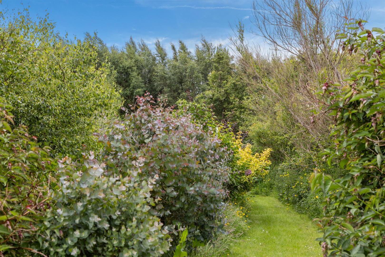 'Kilcoan Gardens', 240 Middle Road 65 of 84