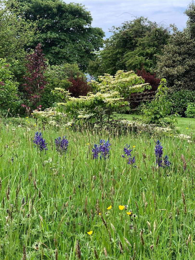 'Kilcoan Gardens', 240 Middle Road 42 of 84