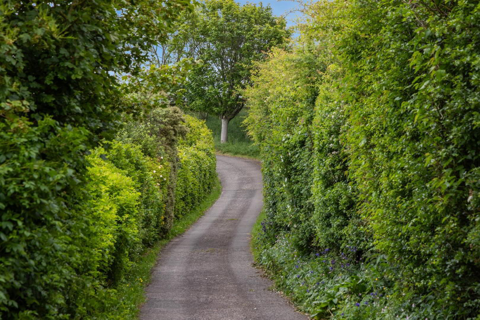 'Kilcoan Gardens', 240 Middle Road 36 of 84