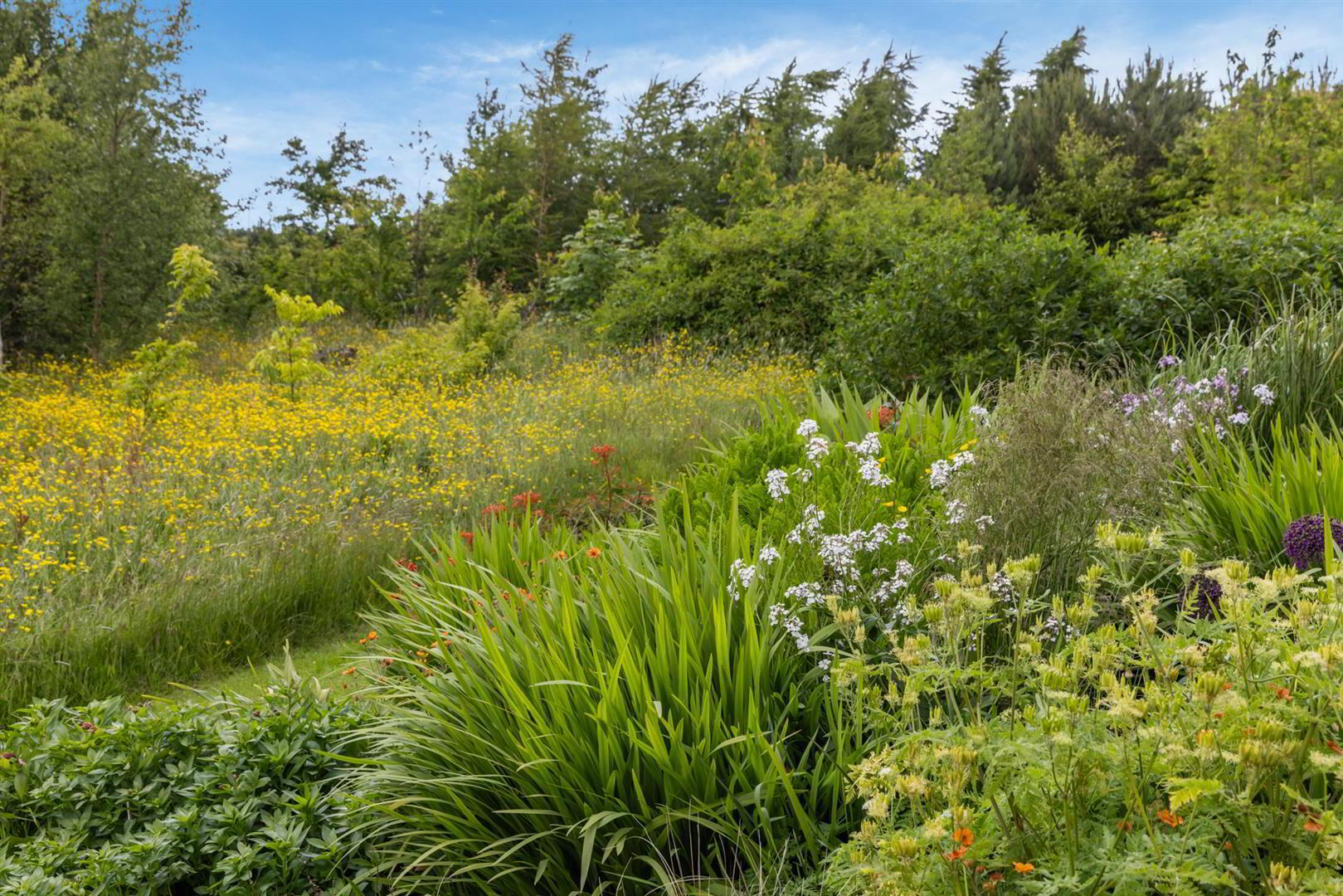 'Kilcoan Gardens', 240 Middle Road 44 of 84
