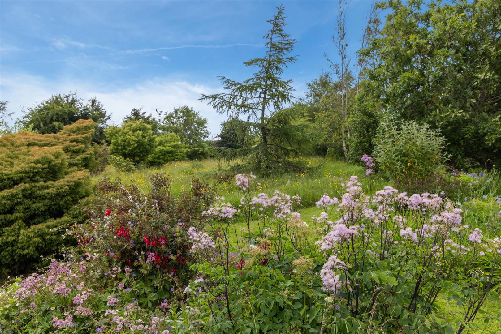 'Kilcoan Gardens', 240 Middle Road 46 of 84