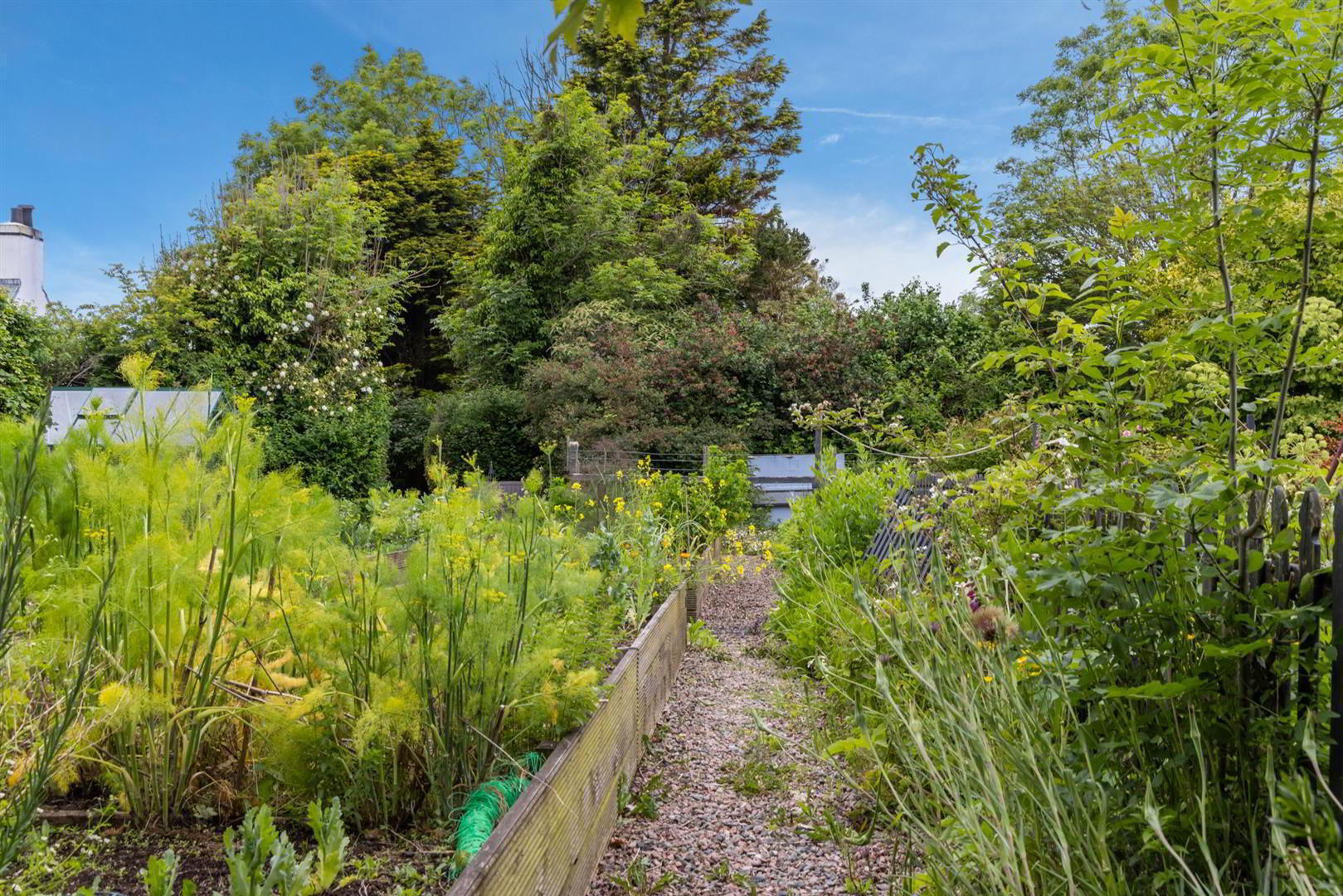 'Kilcoan Gardens', 240 Middle Road 53 of 84