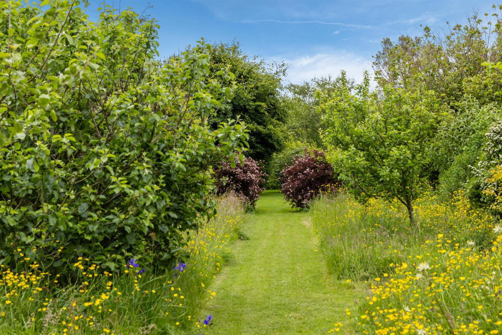 'Kilcoan Gardens', 240 Middle Road 55 of 84