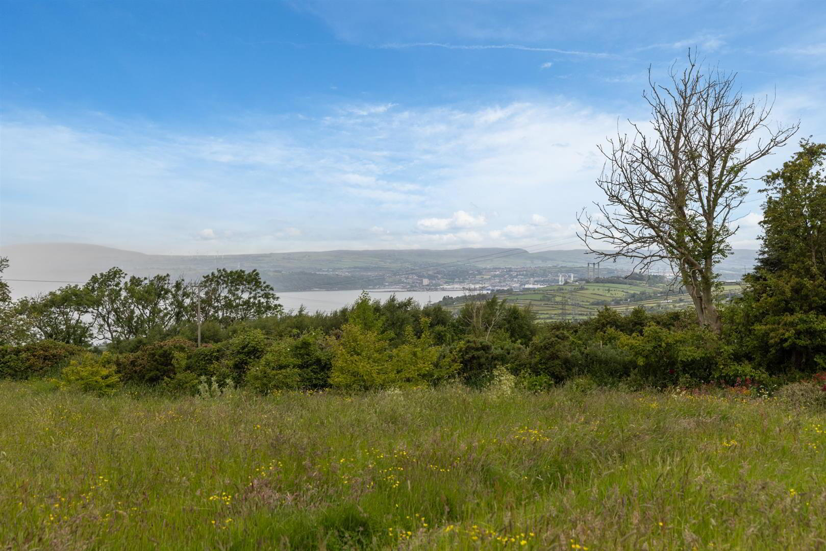 'Kilcoan Gardens', 240 Middle Road 70 of 84