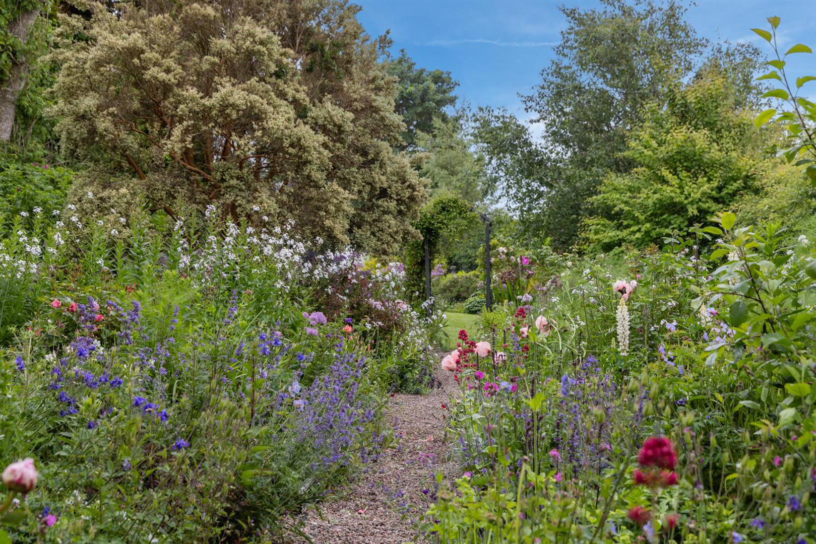 'Kilcoan Gardens', 240 Middle Road 79 of 84
