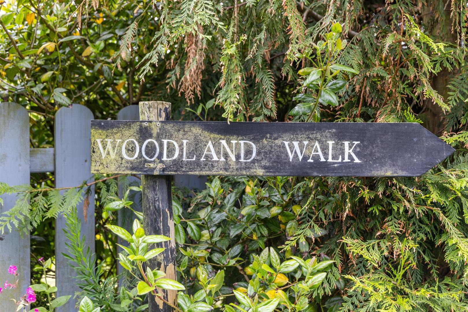 'Kilcoan Gardens', 240 Middle Road 68 of 84