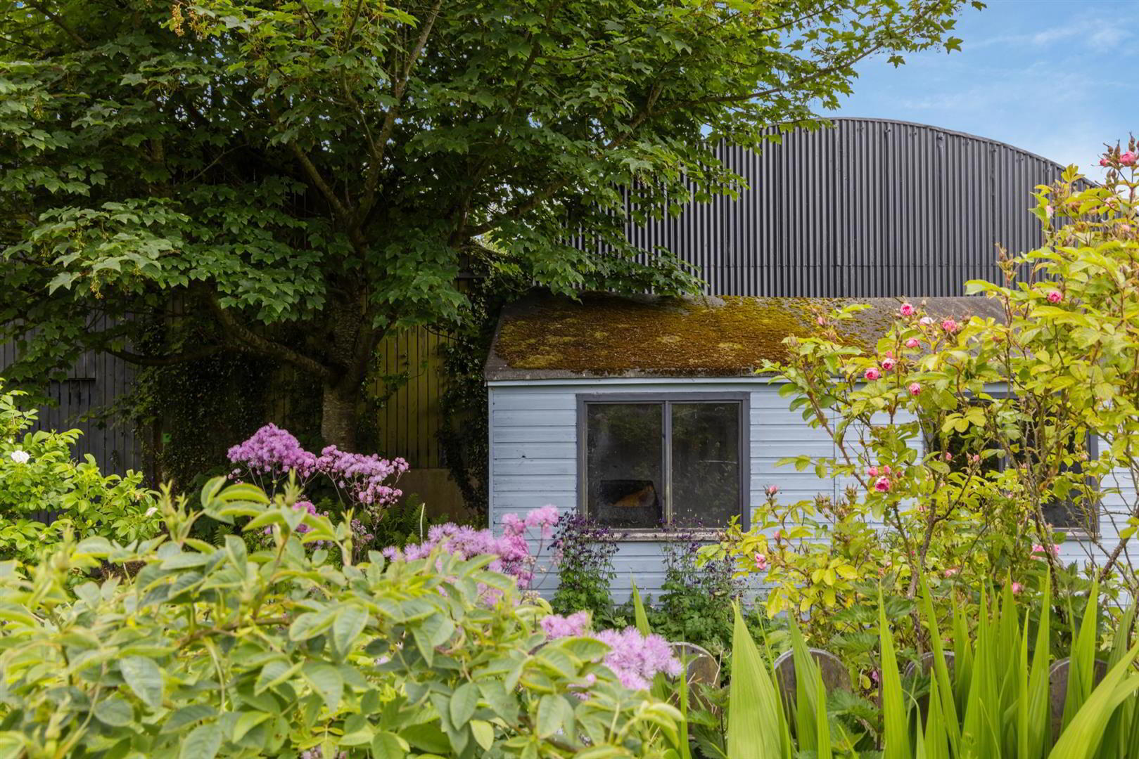 'Kilcoan Gardens', 240 Middle Road 63 of 84