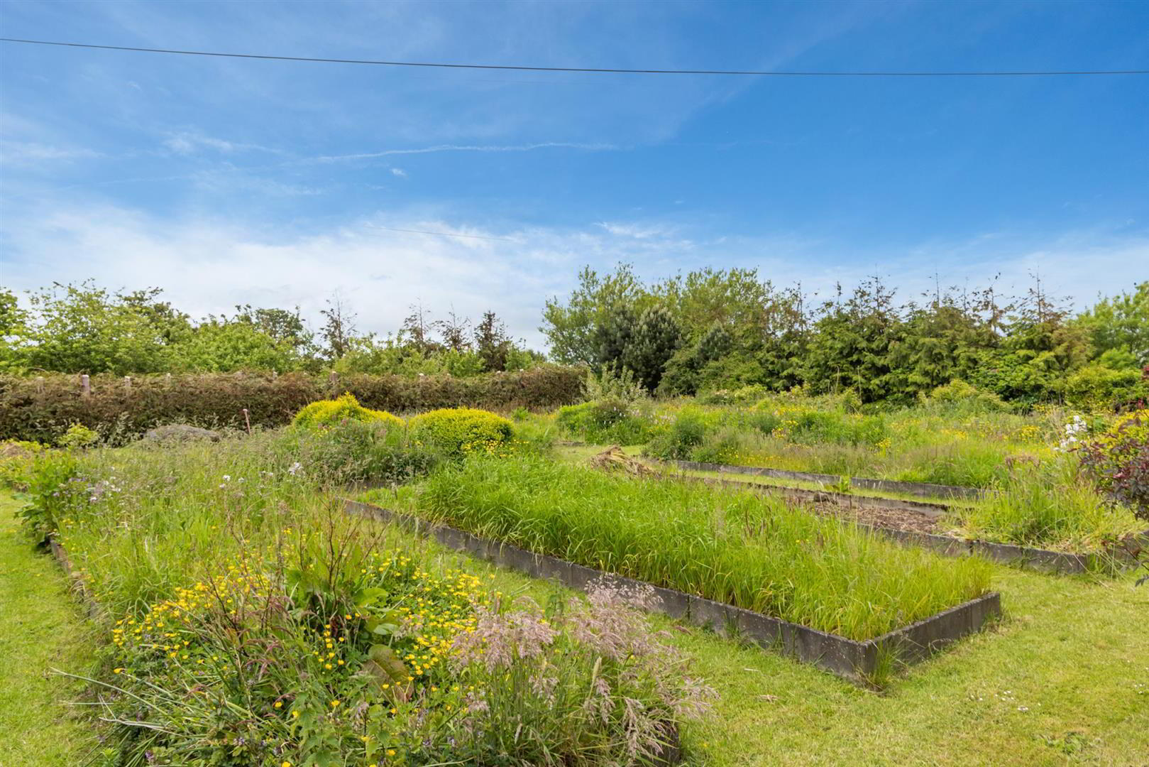 'Kilcoan Gardens', 240 Middle Road 66 of 84