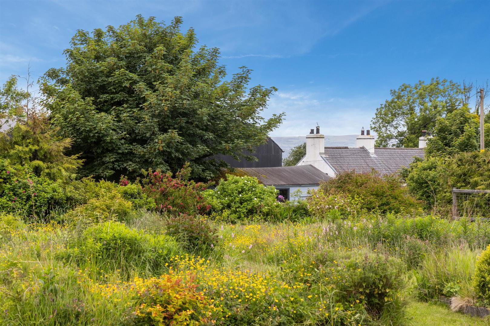 'Kilcoan Gardens', 240 Middle Road 64 of 84